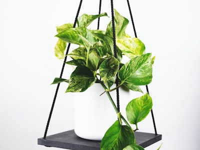 英超联赛积分榜最新排名 - 阿森纳、曼城、利物浦争夺冠军